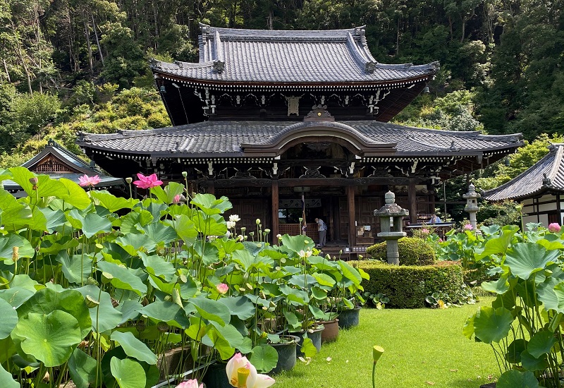 清水寺も金閣寺もめっちゃ空いててお得感超満載 京都パワースポット巡り弾丸ツアー 静岡浜松婚活結婚相談所 ライフパートナーズ